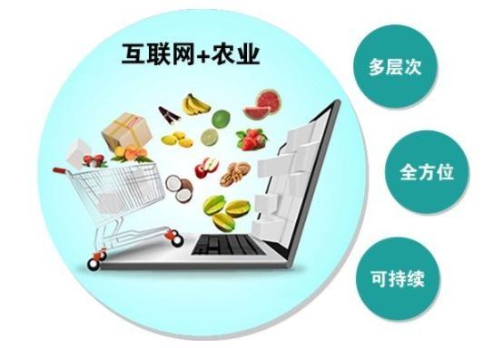 互聯(lián)網(wǎng)+農(nóng)產(chǎn)品推進模式 從田間到指尖的智慧轉(zhuǎn)型