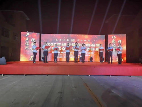 太熱鬧啦！2020楊安鎮迎秋晚會暨第五屆群眾文化藝術節盛大開幕