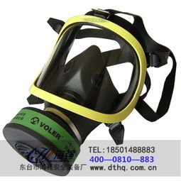守護呼吸安全 東臺市海強安全裝備廠消防過濾式綜合防毒面具與簡易呼吸器深度解析